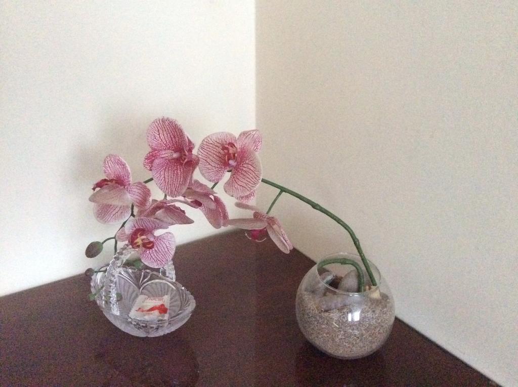 Apartament Kotedzai Milikoniu G. Kowno Zewnętrze zdjęcie